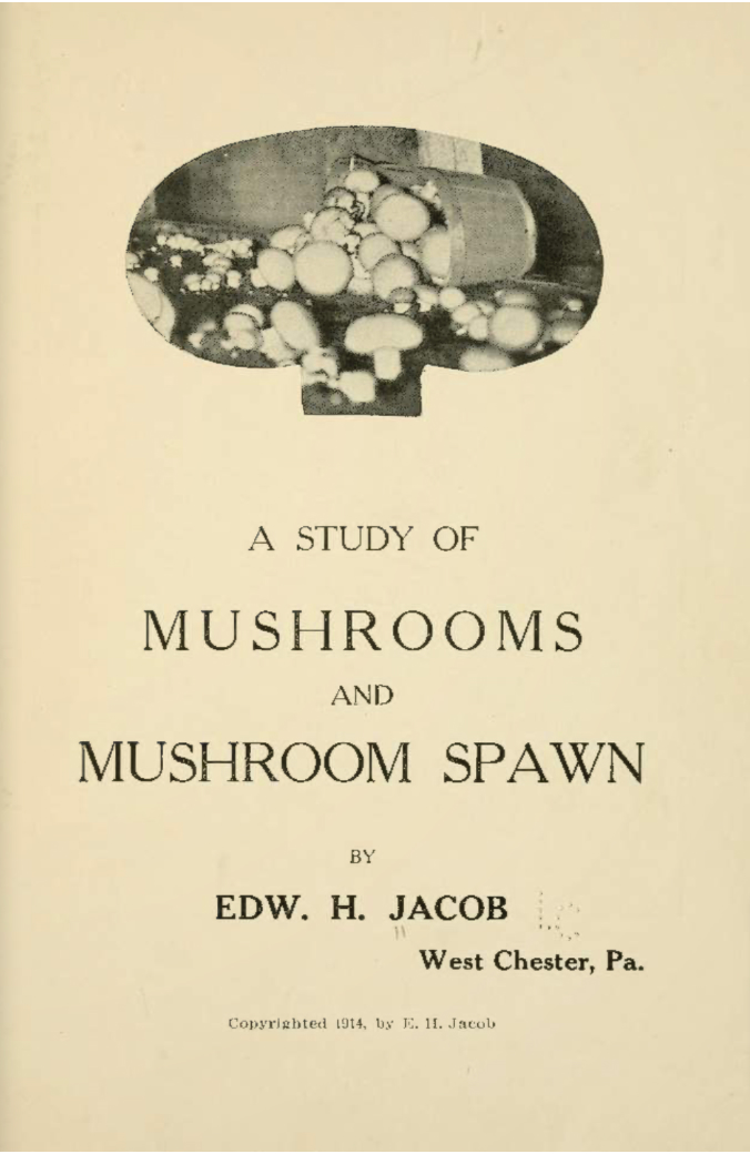 A study of mushrooms and mushroom spawn