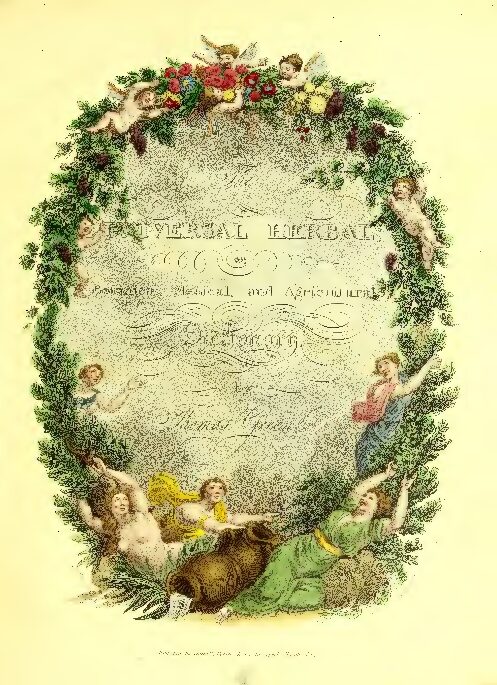 The universal herbal or botanical medical and agricultural dictionary. Vol 1 Thomas Green copy compressed pdf