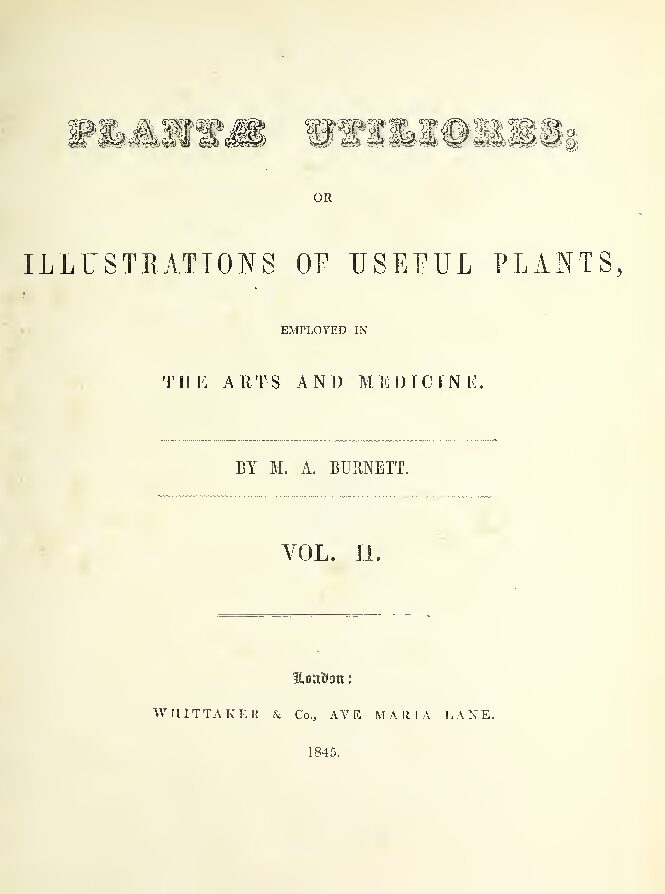 Plant%E2%94%9Ca utiliores vol 2 copy compressed pdf