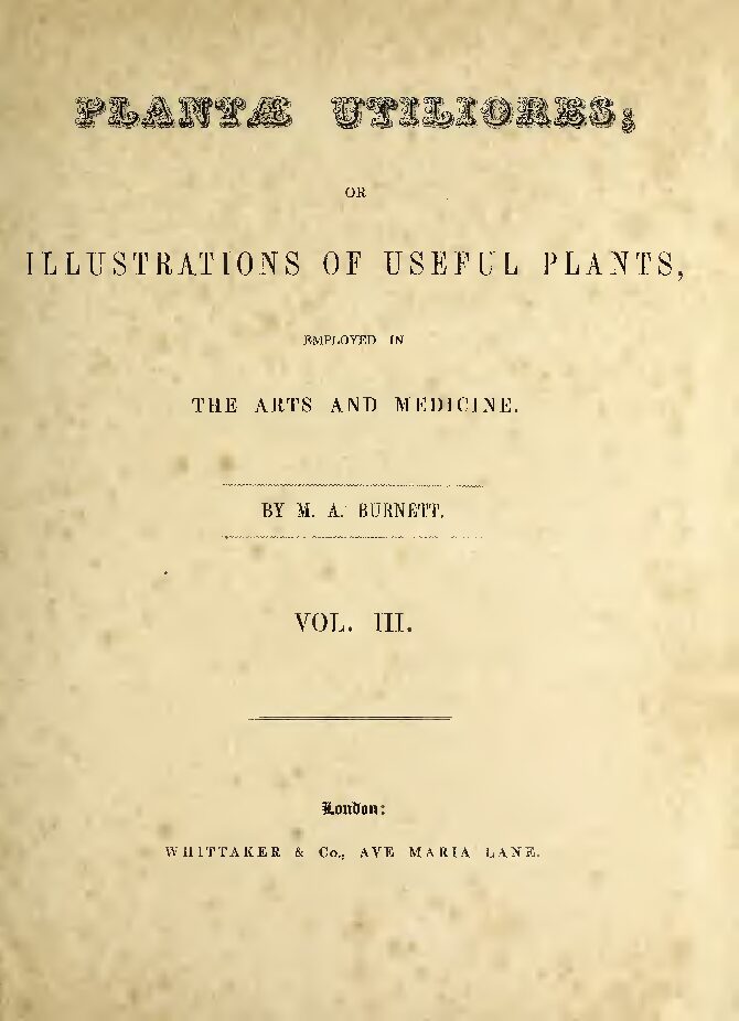 Plant%E2%94%9Ca utiliores vol 3 compressed pdf