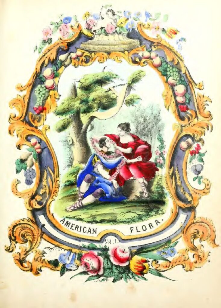 The American flora or History of plants and wild flowers containing their scientific and general description natural history chemical and medical properties vol 1 compressed pdf