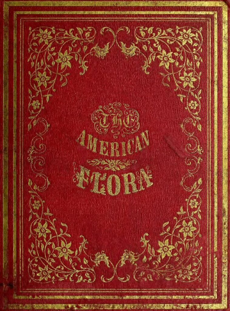 The American flora vol 2 compressed pdf