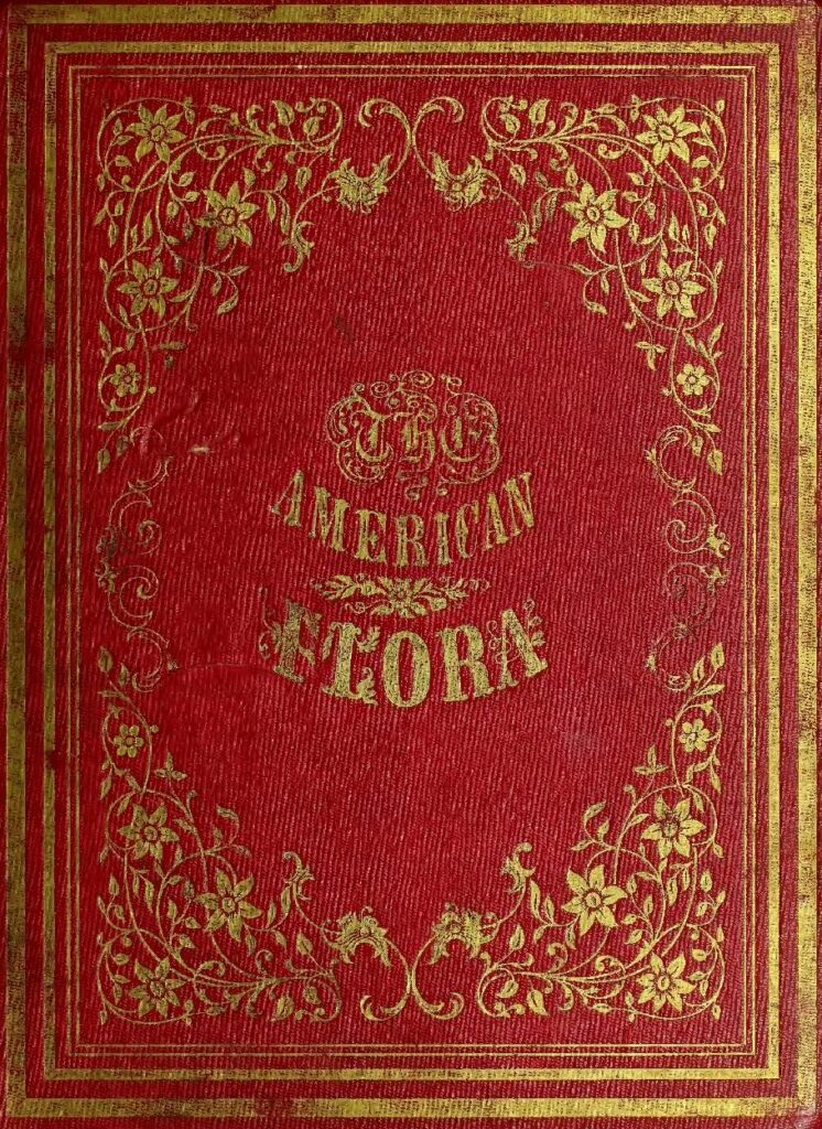 The American flora vol 4 copy compressed pdf