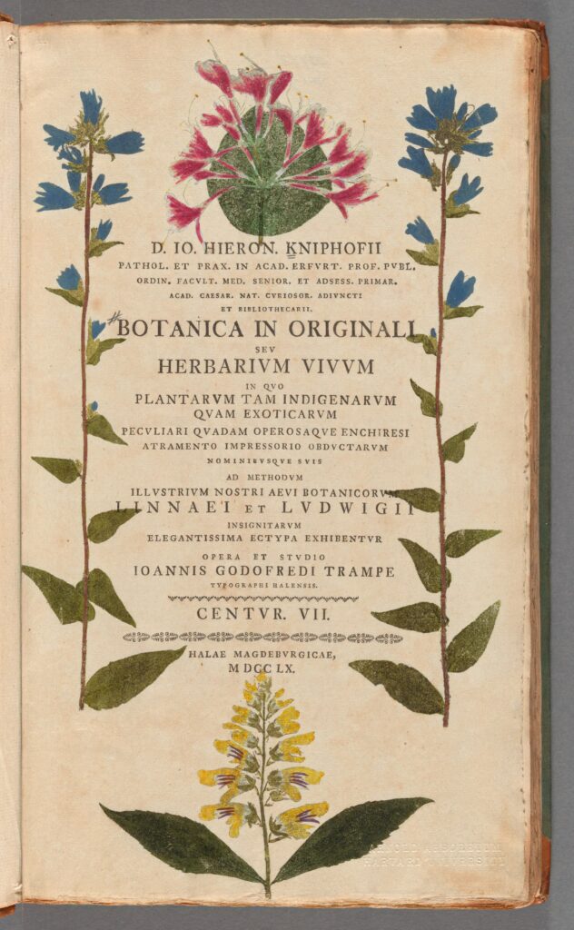 Botanicae in originali vol 7 8